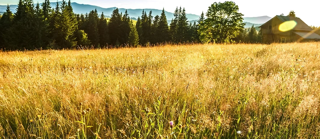Bio- és helyi termékbemutató és vásár – Bodrogkisfalud